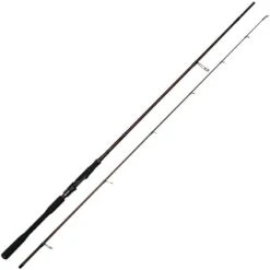 CANNE SPINNING WESTIN W4 POWERTEEZ 2ND