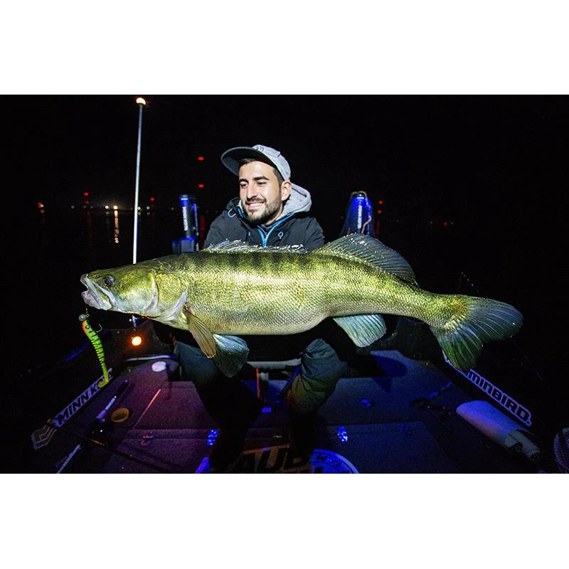 LEURRE SOUPLE MONKEY LURES KING LUI - 12.5CM - PAR 4 – Image 7